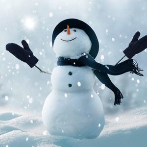 Meet your Posher, Traci